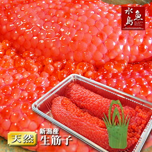 VY ؎qijGߌu嗱 v 500g