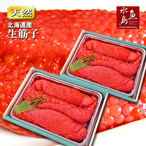 yzkC`XY ؎qijGߌu嗱 v 2kg