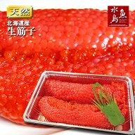 北海道〜青森県産 生筋子（生いくら）季節限定「ずっしり大粒 生すじこ」 500g〈入荷次第順次発送・日時…