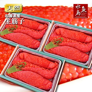 yzkC`XY ؎qijGߌu嗱 v 3kg