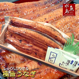 炭火焼 鰻うなぎ蒲焼き ふっくらとろける極旨ウナギ 約30cm超特大 約200g×2尾 父の日ギフト/土用丑の日/お中元