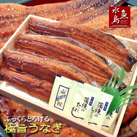 炭火焼 鰻うなぎ蒲焼き ふっくらとろける極旨ウナギ 約30cm超特大 約200g×3尾 父の日ギフト/土用丑の日/お中元