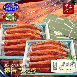 【父の日ギフト】【土用丑の日】炭火焼 鰻うなぎ蒲焼き ふっくらとろける極旨ウナギ 約30cm超特大 約200g×10尾 超メガ盛り2kg【送料無料】