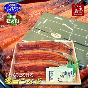 y̓MtgzyypN̓zYΏ VȂĂ ӂƂ낯Ɏ|EiM 30cm 200g×3