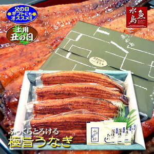 y̓MtgzyypN̓zYΏ VȂĂ ӂƂ낯Ɏ|EiM 30cm 200g×4