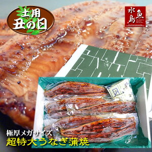 【父の日ギフト】【土用丑の日】炭火焼 鰻うなぎ蒲焼き 超特大 極厚の食べ応え メガサイズ 約400g×5尾【送料無料】