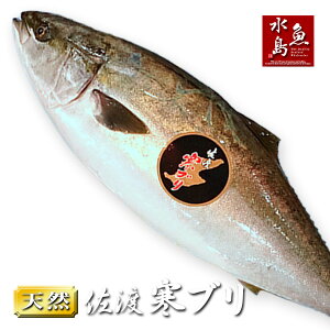 寒ブリ 天然の人気商品 通販 価格比較 価格 Com