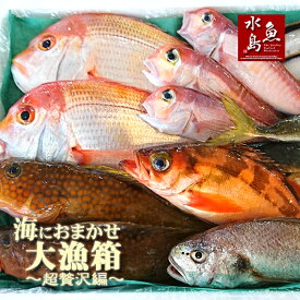 【送料無料】厳選 日本海の鮮魚セット「海におまかせ・大漁箱 超贅沢編」大満足詰め合わせ