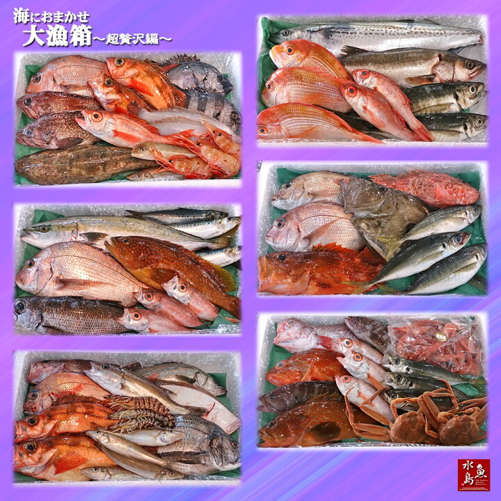 楽天市場】【送料無料】厳選 日本海の鮮魚セット「海におまかせ・大漁箱 超贅沢編」大満足詰め合わせ : 日本海の幸 新潟・魚水島 楽天市場】【送料無料】厳選 日本海の鮮魚セット「海におまかせ・大漁箱 超贅沢編」大満足詰め合わせ : 日本海の幸 新潟・魚水島