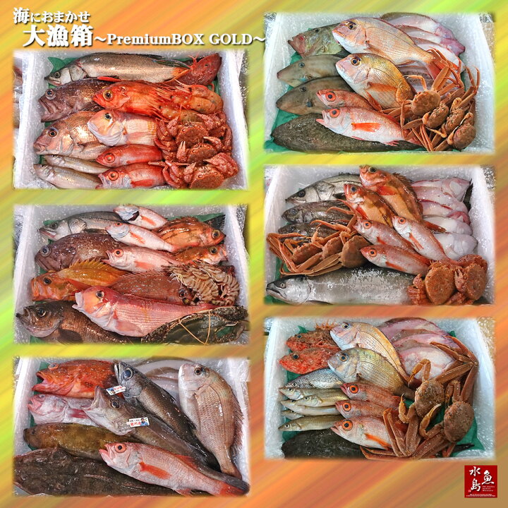 楽天市場】【送料無料】厳選 日本海の鮮魚セット「海におまかせ・大漁箱 プレミアムBOX ゴールド」 大満足詰め合わせ : 日本海の幸 新潟・魚水島 楽天市場】【送料無料】厳選 日本海の鮮魚セット「海におまかせ・大漁箱 プレミアムBOX ゴールド」 大満足詰め合わせ : 日本海の幸 新潟・魚水島