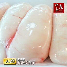 新潟産 天然マフグ 真ふぐ白子 冷凍500g