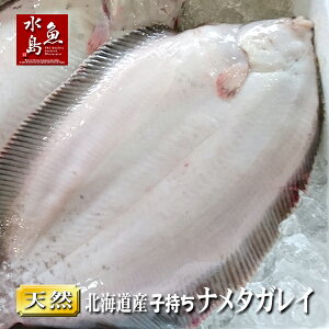 北海道産 天然 子持ちナメタガレイ 1.4〜1.8kg 1尾(生冷凍)