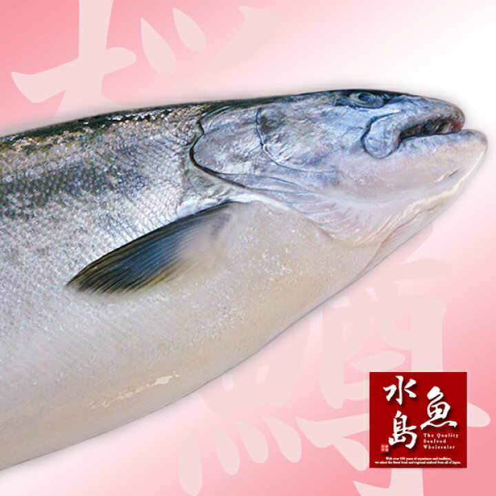 楽天市場】【送料無料】新潟県産 天然サクラマス 本鱒 生一尾 3.0〜3.4kg : 日本海の幸 新潟・魚水島 楽天市場】【送料無料】新潟県産 天然サクラマス 本鱒 生一尾 3.0〜3.4kg : 日本海の幸 新潟・魚水島