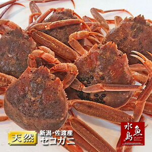 yzVEnY VR ZRKj Kj 10tiv1,400`1,800gj ZRI XKj I Kj YCKj X