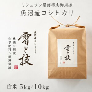 y ߘa7NY V \ z Y RVqJ ƋZ  5kg _5Ew엿5͔|  ŗDG ʍ͔| ߘa7N V  䂫Ƃ킴  ō Mtg 蕨 ~V