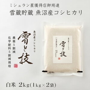 y ߘa7NY V \ z ᑠ Y RVqJ ƋZ  2kg _5Ew엿5͔|  ŗDG ʍ͔| ߘa7N V  䂫Ƃ킴  ō Mtg 蕨 ~