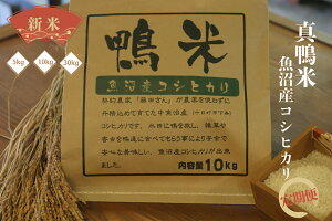 y2025NxVāzYRVqJ@^ 30kg