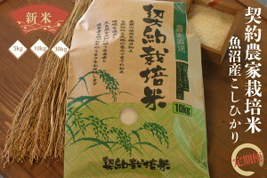 y2025NxVāz__ƍ͔|ċYЂ 5kg