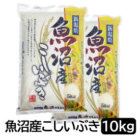 【令和5年産】 魚沼産 こしいぶき 白米 10kg (5kg×2袋) 新潟県産 送料無料 新潟 こしいぶき おこめ お米 米 米10kg 米10キロ 白米 コメブランド米 お米マイスター認定 贈り物 お祝い お取り寄せ 受注精米 【送料無料（北海道・九州・沖縄は除く）離島は発送不可】