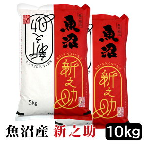 ߘa7NY YVV  10kg (5kg×2) VY  V VV    10kg 10L  ă}CX^[F 蕨 j  Mtg 󒍐 yik