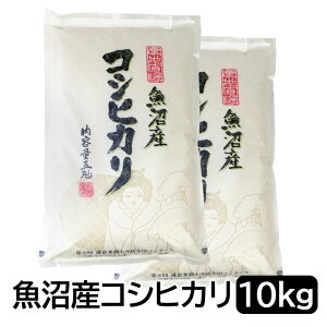 ߘa7NY Y RVqJ  10kg (5kg×2) VY  V Ђ    10kg 10L  ă}CX^[F 蕨 j 󒍐 yikCE