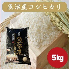 魚沼産 コシヒカリ 5kg 米 令和7年産 特A ブランド米 白米 精米 魚沼産 十日町 送料無料