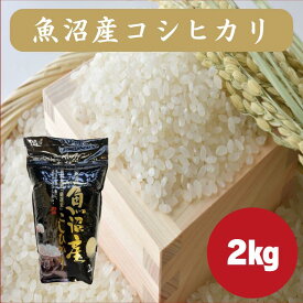 魚沼産 コシヒカリ 1Kg 2Kg 5Kg 米 令和7年産 特A ブランド米 白米 精米 十日町 送料無料