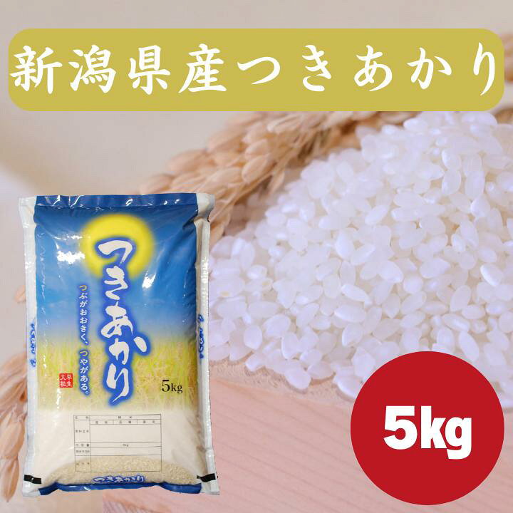 楽天市場】新潟県産 つきあかり 5kg 米 令和7年産 白米 精米 送料無料 