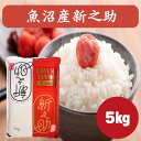 魚沼産 新之助 5kg 米 令和7年産 特A ブランド米　白米 精米 十日町 お米 お祝い