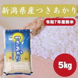 VY 5kgb@V ߘa7NY  ābVYb₩ŋPオ肪́b   ͂ ɂbYn @ƒpɂ