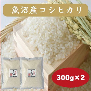 YRVqJ 300g×2@TCYIbV ߘa7NY A uh   VY@Y@\b ɂ ٓbc@S@@߂ĂbYn 