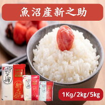 楽天市場】新之助 米 1kg（食品）の通販