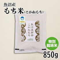 楽天市場】もち米 こがねもち 無農薬の通販