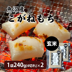 Y˂ Ė 1240g(4؂)×2 Y  ؖ  Y  Y˖ VY V    pbN Mtg VY ˂  