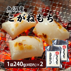 Y˂ ؂ 1240g(4؂)×2 Y   Y  ˂VY Y˖ V      Y ` ؖ Y 