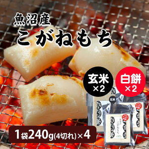 Y˂ Ė݁E 1240g(4؂)×4   Y ˂ Y˖ VY O V    Mtg VY ˂   