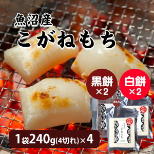 Y˂ ݁E 1240g(4؂)×4   Y ˂ Y˖ VY O V    Mtg VY ˂   