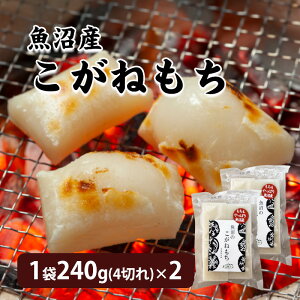 �����Y�����˂��� �؂�� 1��240g(4�؂�)×2 ���Y�� ���� �� ���Y ������� �����˂����V�����Y �����Y�����˖� �V�� ���� ������ ������������ �������� �������� �����Y ���` �ؖ� �����Y ����