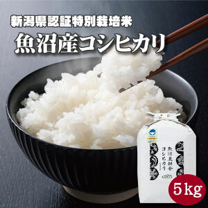 ���ʍ͔| �����Y�R�V�q�J�� ����5kg ���_��� 5kg �ߘa7�N�Y �R�V�q�J�� �V���Y 5�L�� ���� �� �R�V�q�J���� �V���Y�R�V�q�J��5kg ����5kg �����Ђ��� �V���R�V�q�J��5kg ���� �V���� ���ʍ͔|�� 