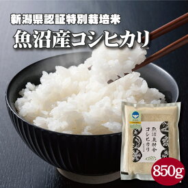 魚沼産コシヒカリ 特別栽培 精米 850g 令和5年産 減農薬 新潟 のし 魚沼産こしひかり こしひかり 新潟県産特別栽培米 令和5年度 コシヒカリ 白米 米 こめ お米 新潟産こしひかり 国産 美味しい 贈り物 ギフト 魚沼産 新潟県産コシヒカリ 魚沼産コメ お米 お試し 送料無料