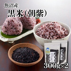  300g×2 ߘa6NY Y   ֗   Y ݕ Y ނ炳  R   Yn VY G Ñ G  e X[p[t[h 
