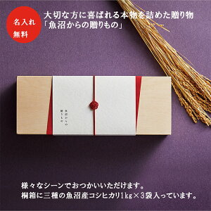 yVāz YRVqJ ˔ ߘa7NY 3̋YRVqJ ߃Mtg ăMtg YЂ TԂ  蕨 ̂Ή Ђ Y RVqJ Mtg V