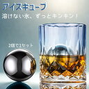 【100円OFFクーポン配布中】【2個セット】ステンレス氷球 5.5cm 溶けない氷 繰り返し使用可能 ドリンク冷却用 おしゃれ バーアイテム ウイスキー ワイン エコ