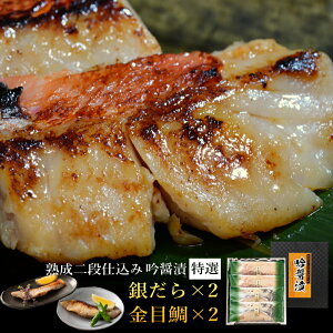 Mtg  Ђ [₾Eڑ] ݒЋlߍ킹 Zbg s-023 XЂ