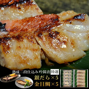 Mtg  Ђ [₾5؁Eڑ5]  ݒГIlߍ킹 