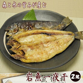 イワナ一夜干し 2枚入 干すことで旨味凝縮　　　　　 岩魚 いわな 干物 お試し 特製 開き ひらき 魚 魚介類 おかず 肴 和食 日本料理 朝食 贈り物 贈答 ギフト お返し プレゼント 渓流 清流 冷凍