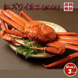 {C xjYCJj 3nC ΐ쌧Y TCYyz Y ŊI gYCI xjYCI g 킢I Ε  Xmas NX}Xp[eB[  ΕMtg