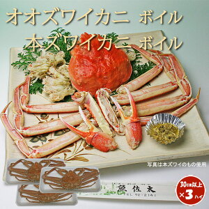 {C IIYCJj 2nC {YCKj 1nCZbg kCY ΐ쌧Y TCYyz ŊI IIYCI YCI  킢I Ε  Xmas NX}Xp[eB[