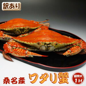 ワタリガニの通販 価格比較 価格 Com