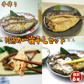 川魚の一夜干しセット 合計6尾【送料無料】 鮎・岩魚・あまご プレゼント ギフト あゆ アユ いわな イワナ アマゴ 天子 雨子 雨魚 干物 一夜干 干物セット のし対応 包装無料 贈物 ご贈答 手土産 お礼